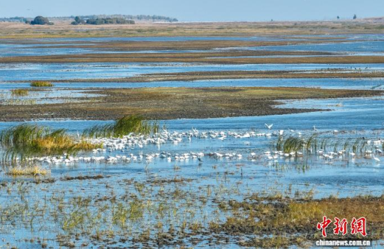 10��16��������ĪĪ���(gu��)�Ҽ�(j��)��Ȼ���o(h��)�^(q��)��(n��i)�������ڑ�ˮ��(�o(w��)�˙C(j��)��Ƭ)�w��� �z